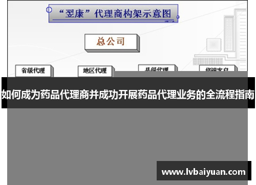 如何成为药品代理商并成功开展药品代理业务的全流程指南 如何成为药品代理商并成功开展药品代理业务的全流程指南