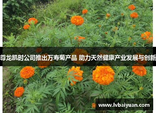 尊龙凯时公司推出万寿菊产品 助力天然健康产业发展与创新